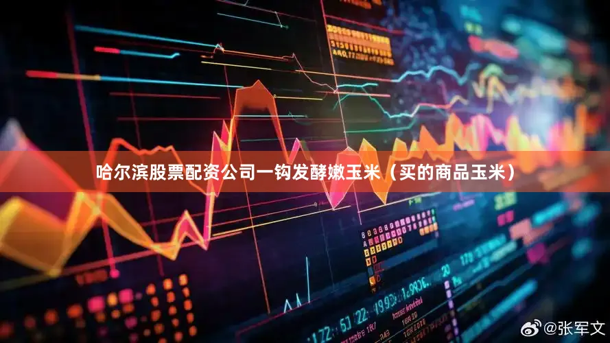 哈尔滨股票配资公司一钩发酵嫩玉米（买的商品玉米）